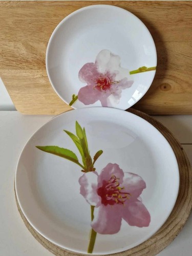 Luminarc acropal plates white - luminarc,
